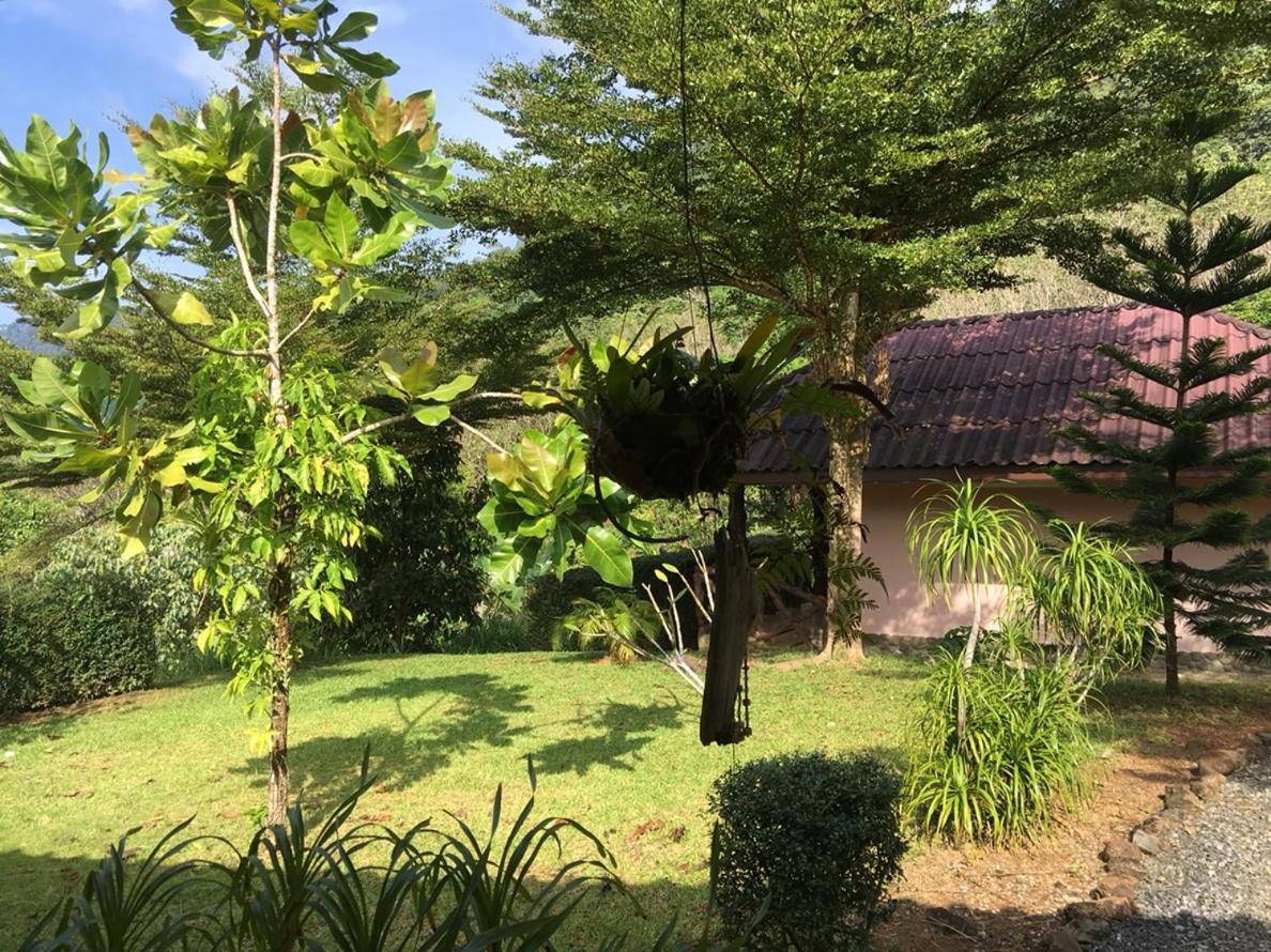 Khao Sok Hill Top Resort Khao Sok National Park Exterior foto